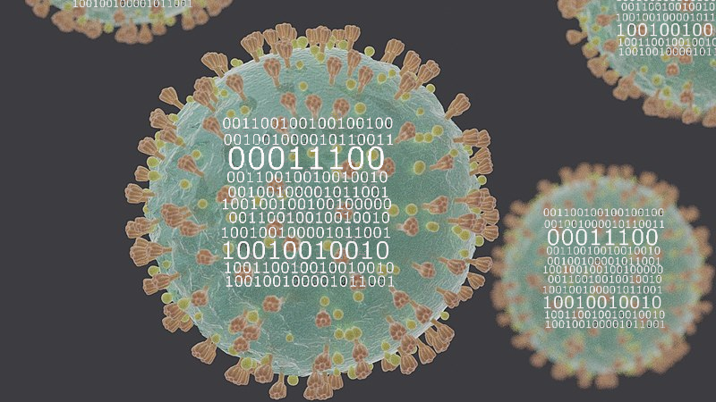 Representation of data within coronavirus