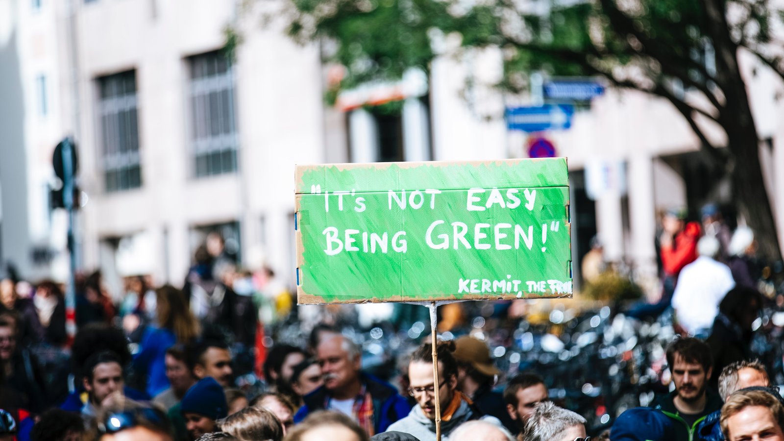 A green sign with the words 'It's not easy being green' on it being held up in a crowd of people