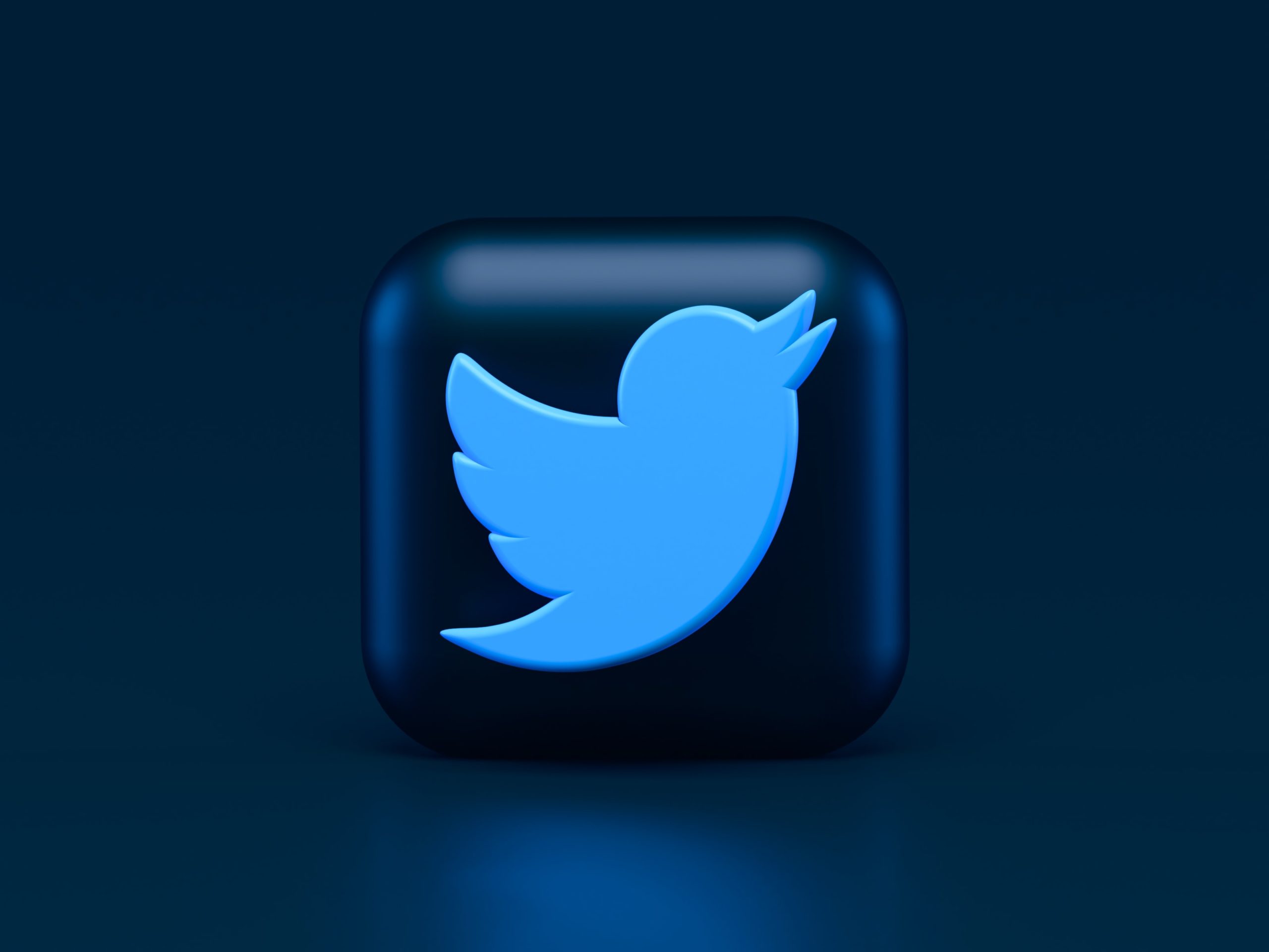 A version of the Twitter icon (a bright blue bird on a darker blue square)