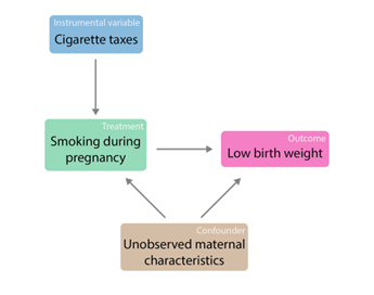 The diagram gives an example of an instrumental variable. The instrumental variable is 'smoking cigarettes'. It is shown to link into the treatment 'smoking during pregnancy', which links to the outcome 'low birth weight'. Also linking into both the treatment and the outcome are a confounder 'Unobserved maternal characteristics'.